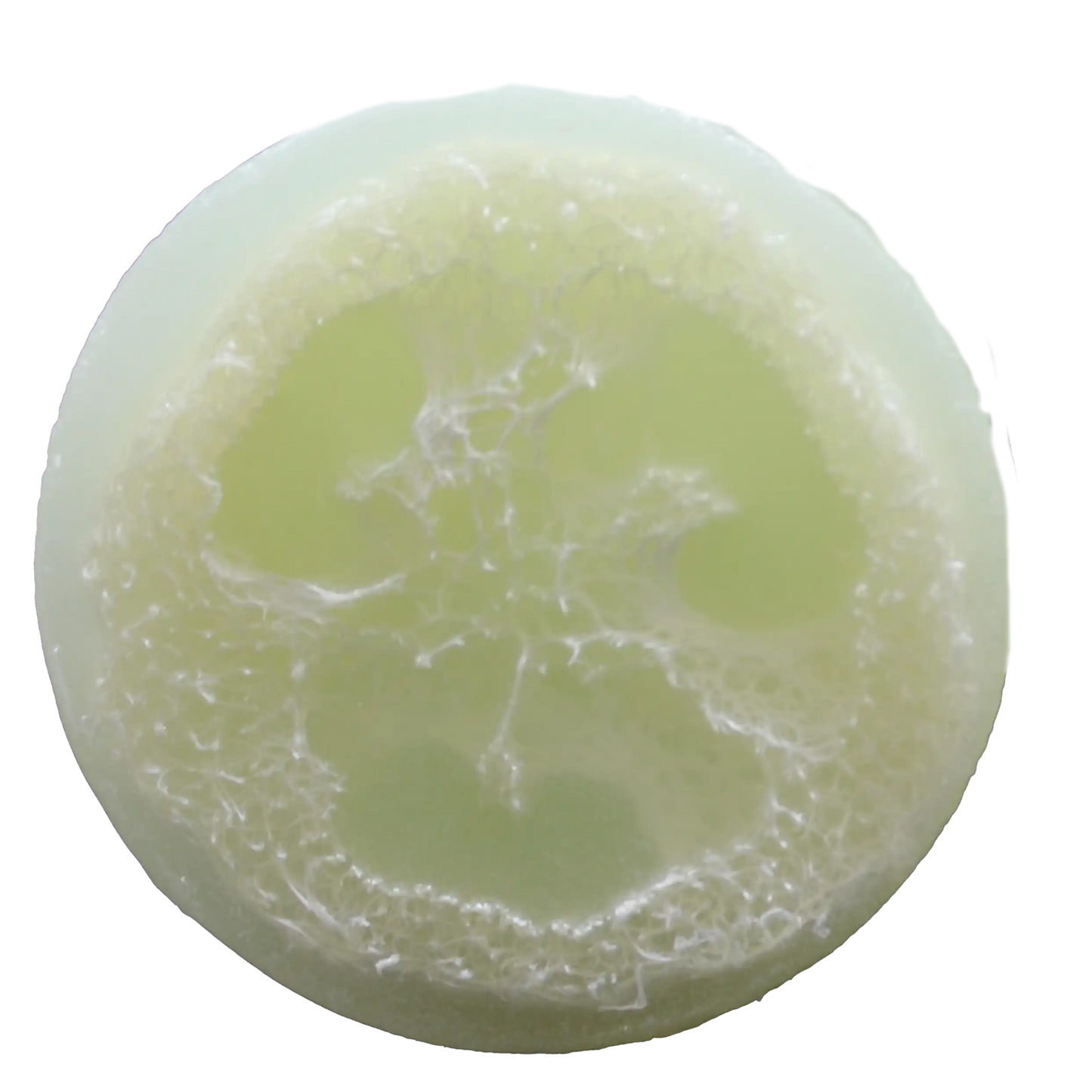 Aloe and Clover Luffa Soap