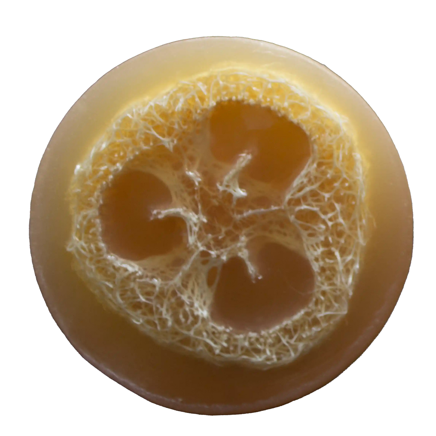 Dreamsicle Luffa Soap