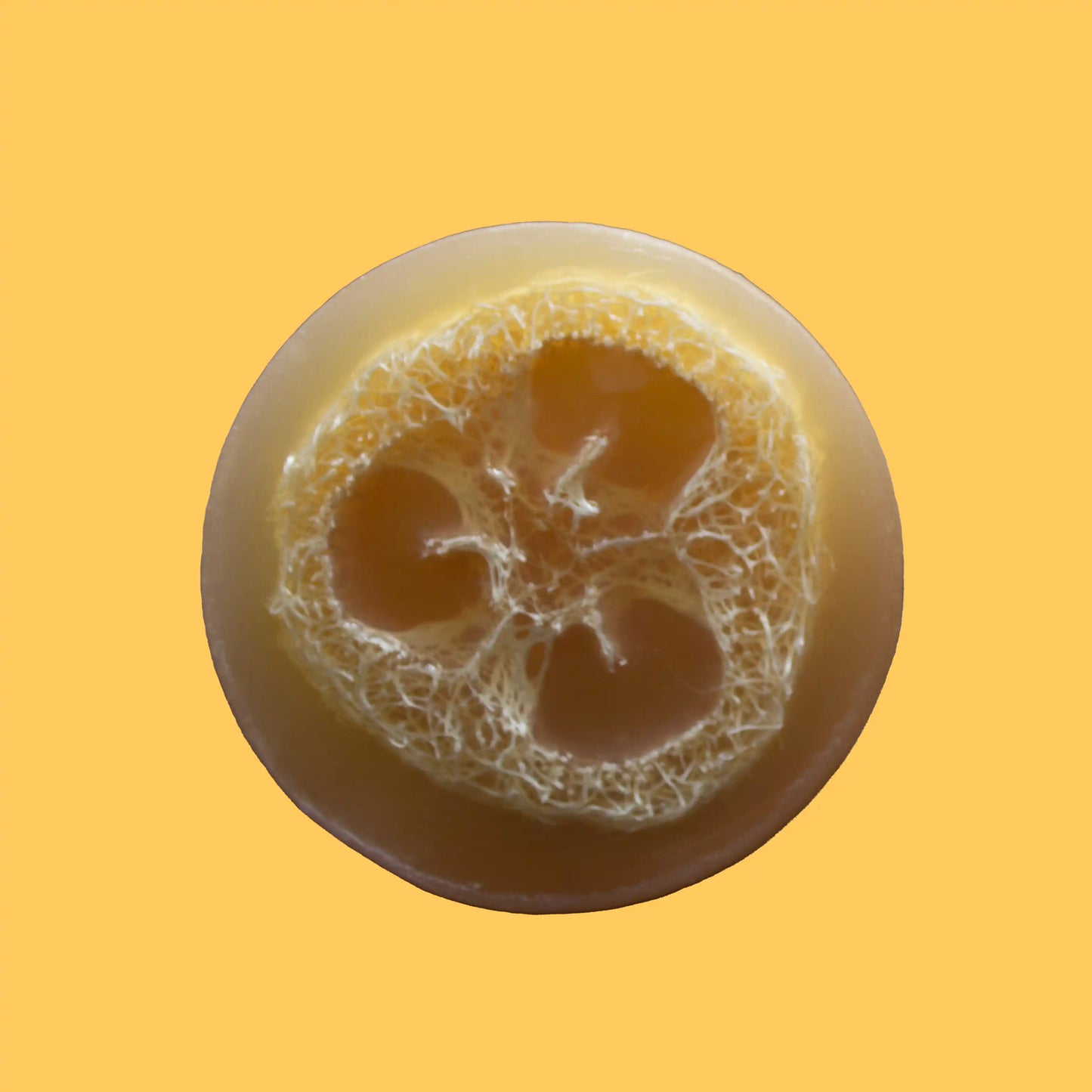 Dreamsicle Luffa Soap