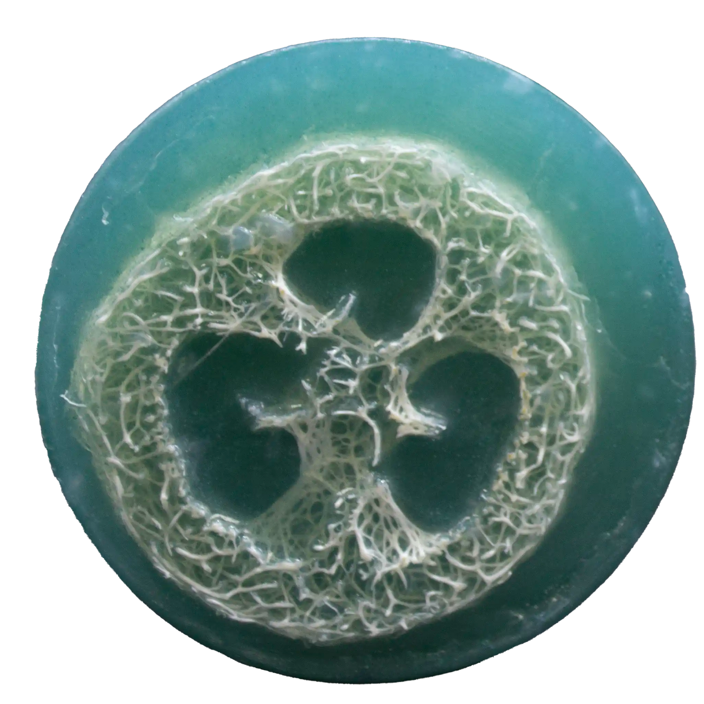 Eucalyptus Mint Luffa Soap