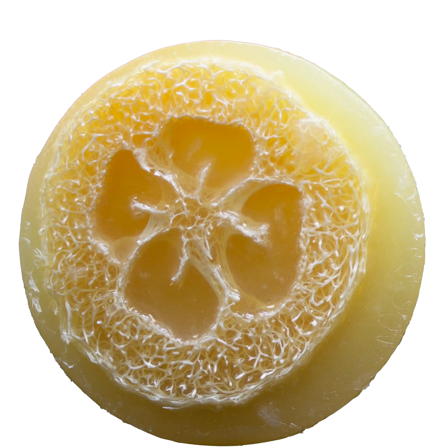 Pineapple Mango Luffa Soap