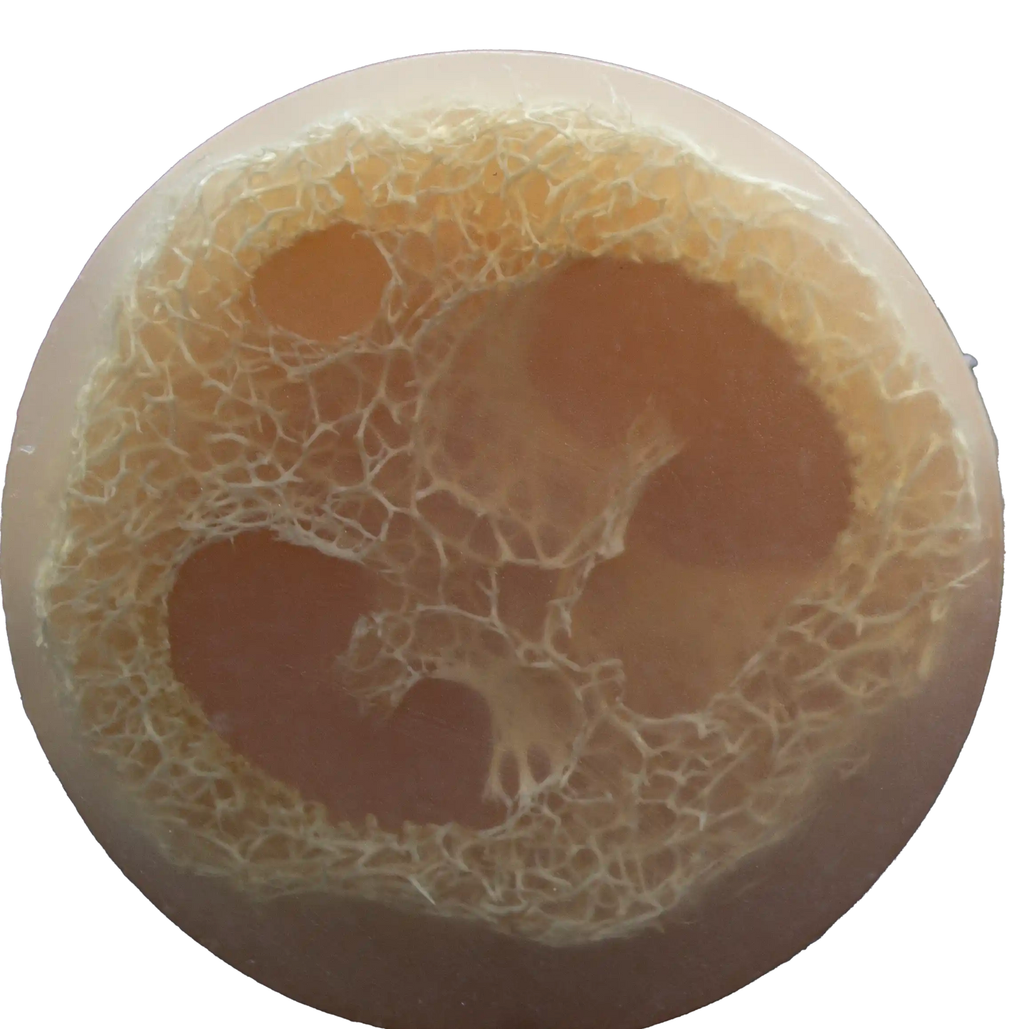Raspberry Rose Luffa Soap
