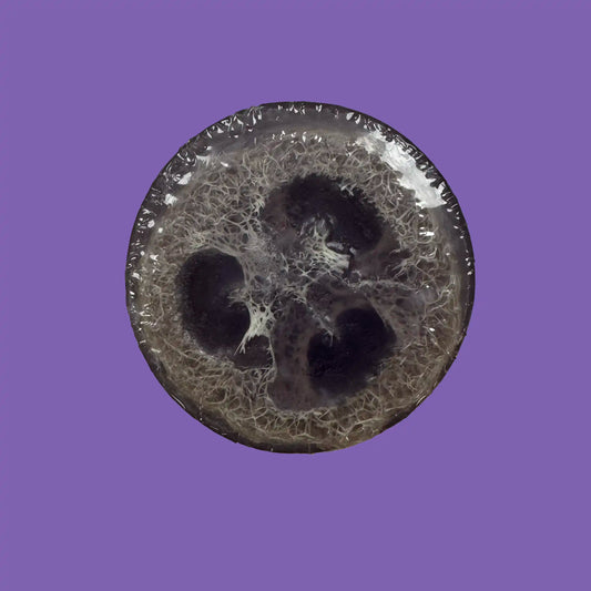 Blackberry Magnolia Luffa Soap